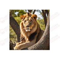 Lion In A Tree Edible Image #02 - Square