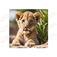 Lion Cub Edible Image #07 - Square