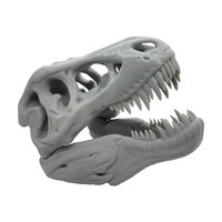 Large Dinosaur Skull Decoration