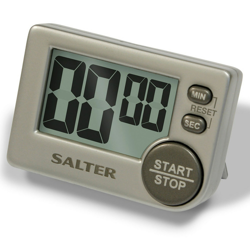 Salter Big Button Timer