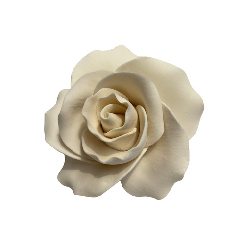 Ivory Rose 45mm